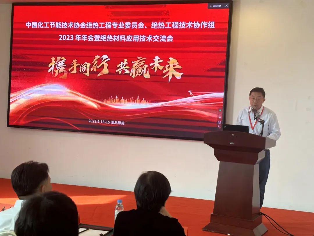 中國石油和化學工業聯合會副主任、中國化工節能技術協會副秘書長金國鋼致辭.jpg